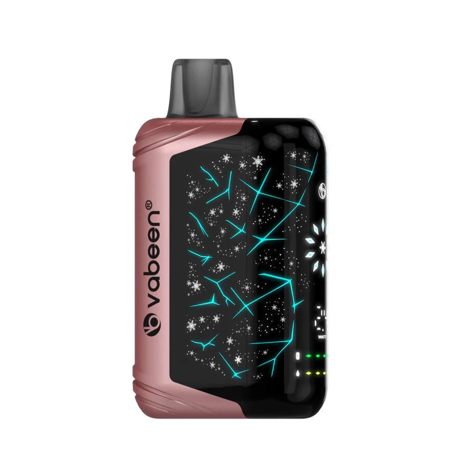 Vabeen Polar Beast 35000 pufuri