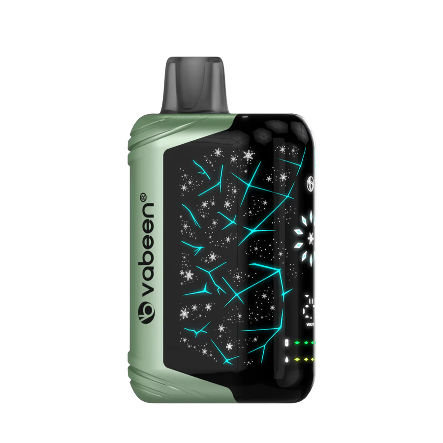 Vabeen Polar Beast 35000 pufuri
