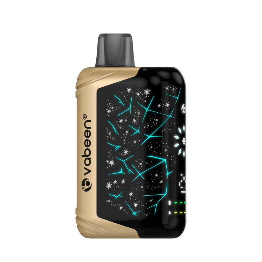 Vabeen Polar Beast 35000 pufuri