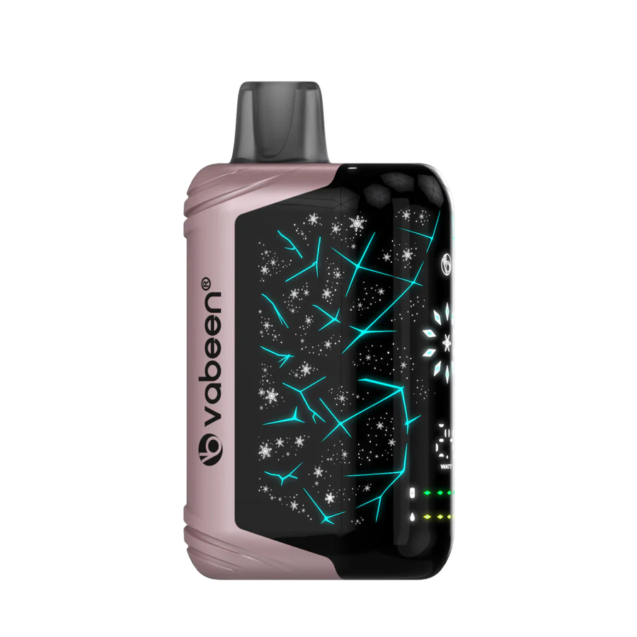 Vabeen Polar Beast 35000 pufuri