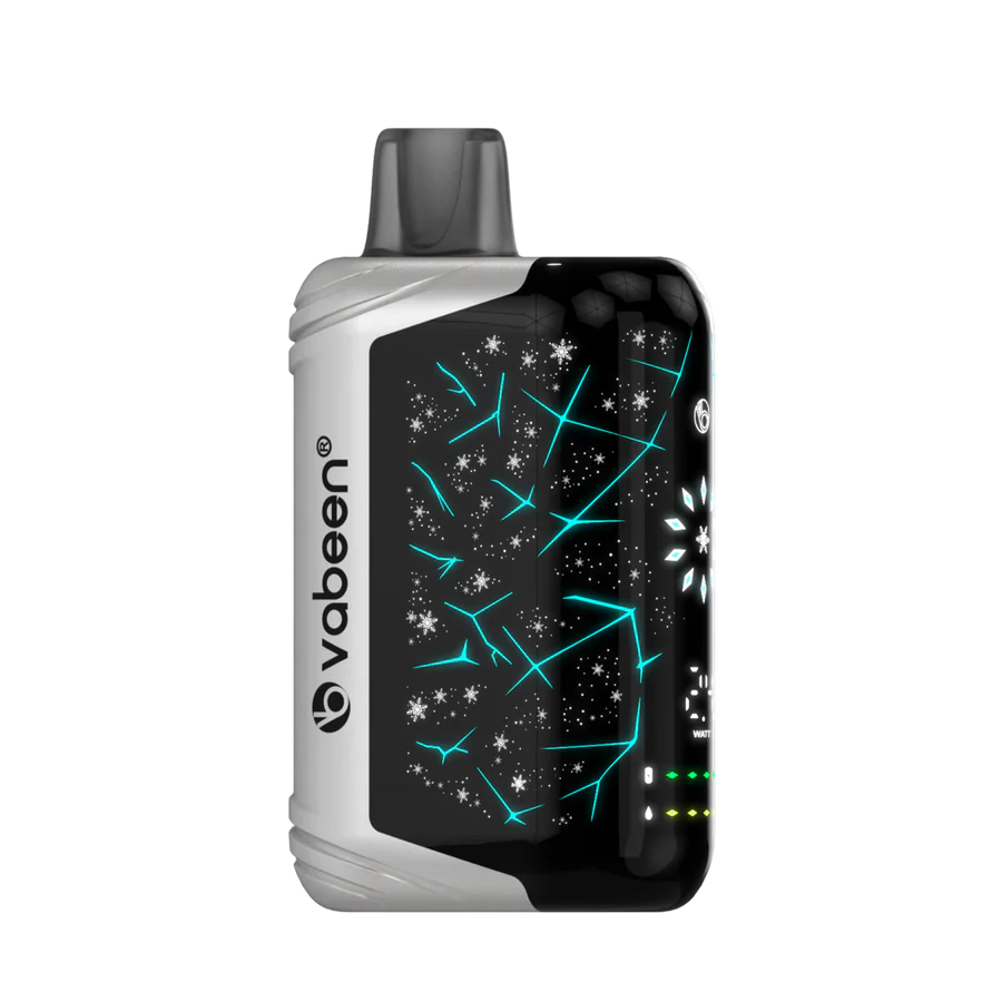 Vabeen Polar Beast 35000 pufuri