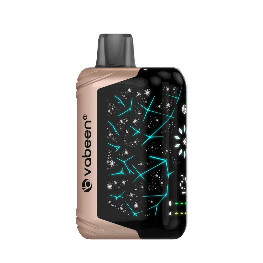 Vabeen Polar Beast 35000 pufuri
