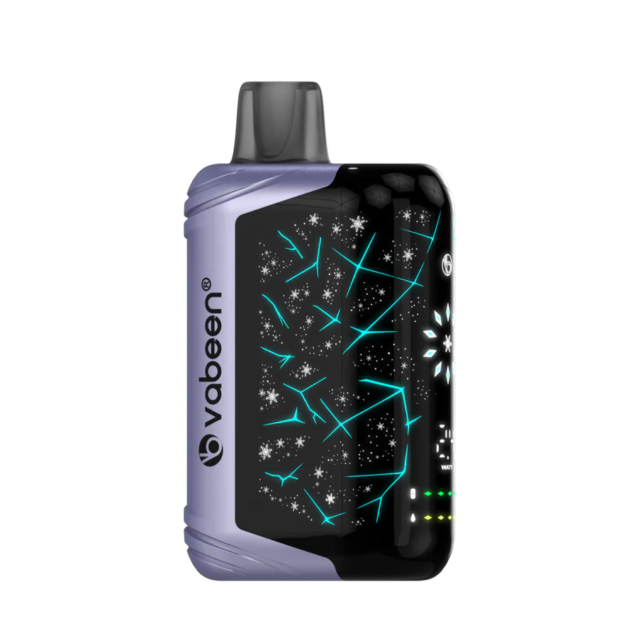 Vabeen Polar Beast 35000 pufuri