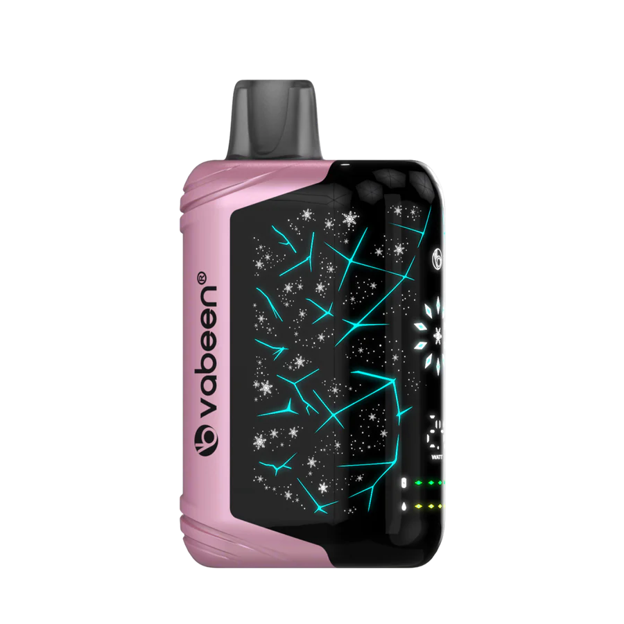Vabeen Polar Beast 35000 pufuri