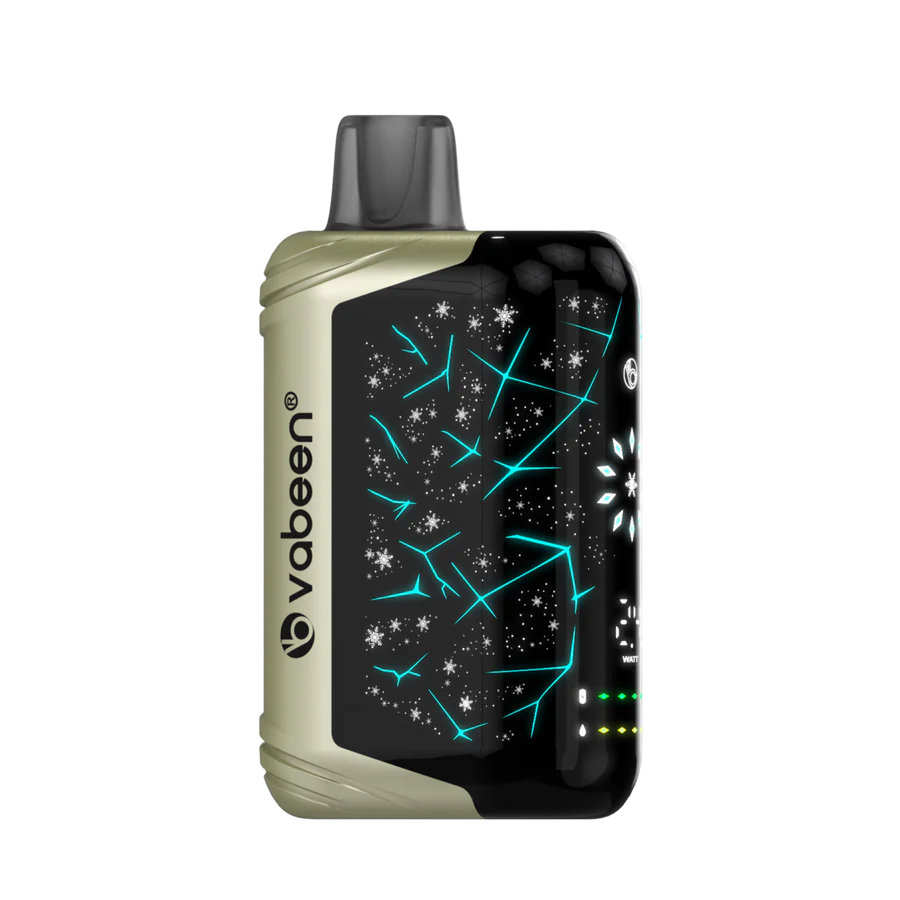 Vabeen Polar Beast 35000 pufuri