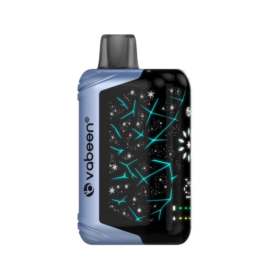 Vabeen Polar Beast 35000 pufuri