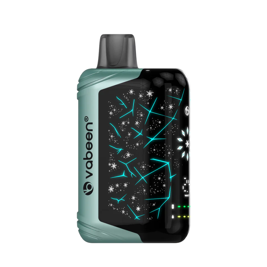 Vabeen Polar Beast 35000 pufuri
